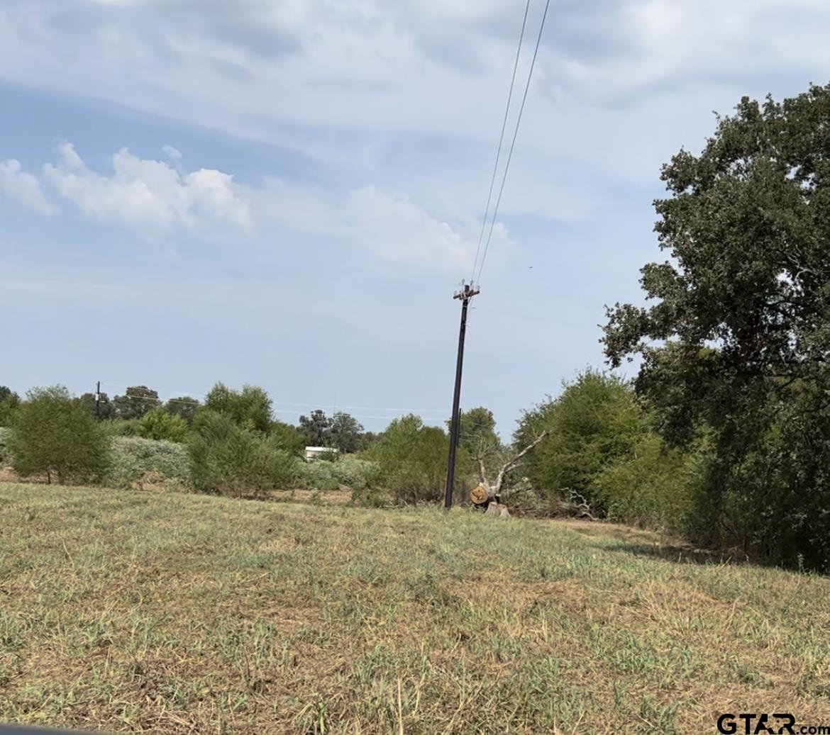 Lot 6 County Road 3374 Alba, TX 75410 - Photo 4 of 6