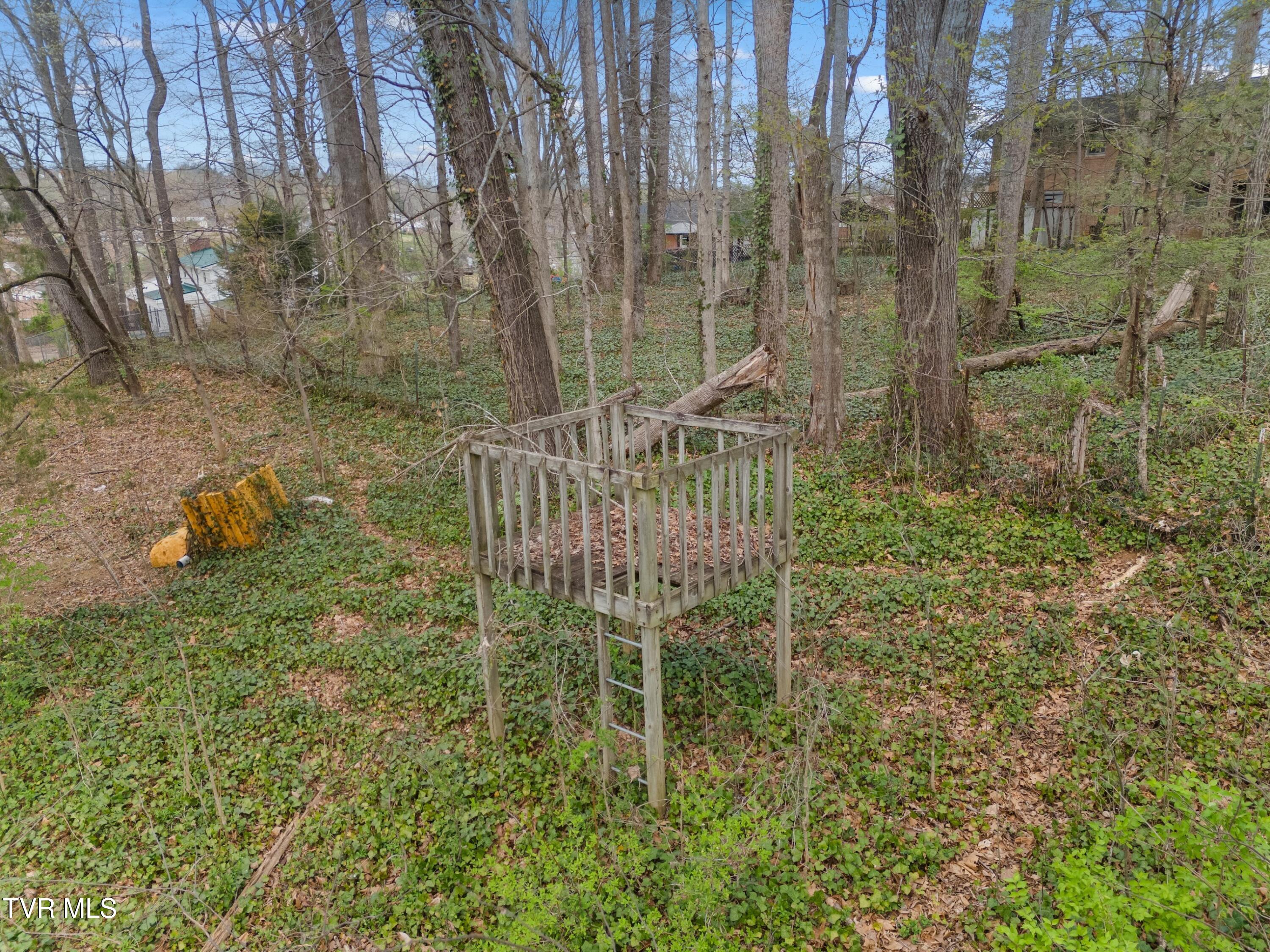 1204 Rambling Court Greeneville, TN 37743 - Photo 49 of 54 049-1204RamblingCourt-Greeneville-TN-377