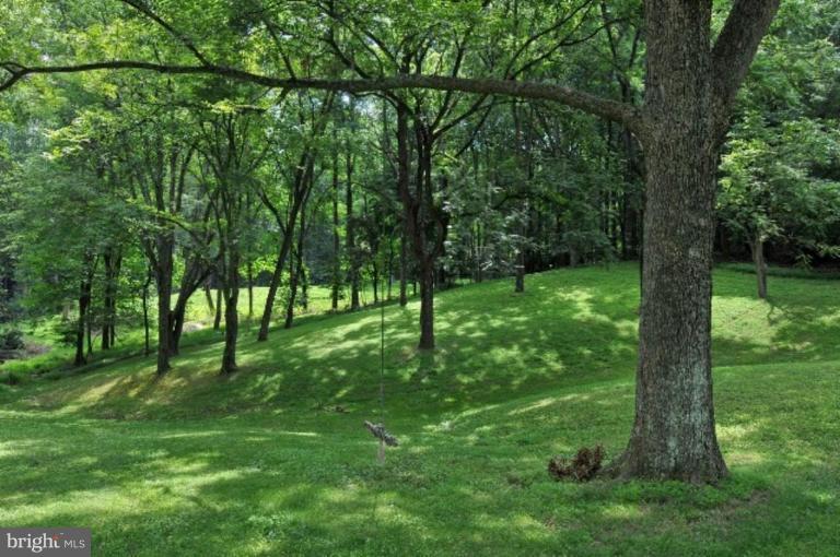 239 Springvale Road Great Falls, VA 22066 - Photo 21 of 22 Wooded View / Acreage