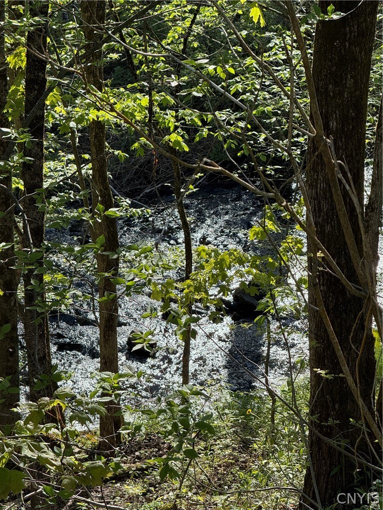 241 Jerry Look Road Orwell, NY 13144 - Photo 40 of 42 Gallery Image 40