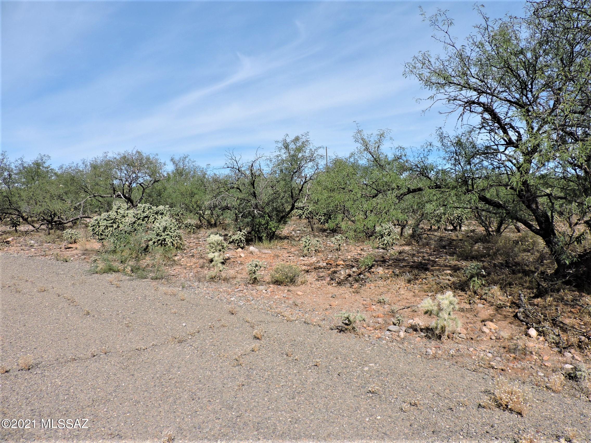112 Circulo Bolivia, Unit 65 Rio Rico, AZ 85648 - Photo 2 of 3