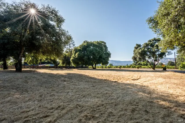 a view of outdoor space with trees