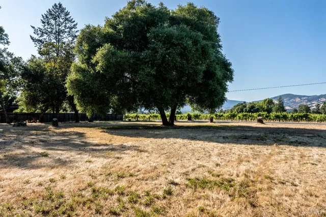 a view of outdoor space with trees
