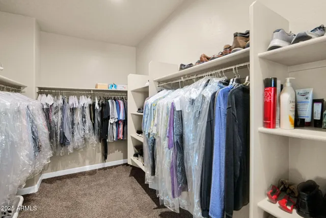 a view of walk in closet with clothes and shoes