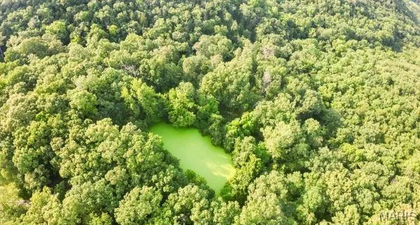 $1,499,000 | 3492 Camp Keown Road, Holts Summit, MO 65043