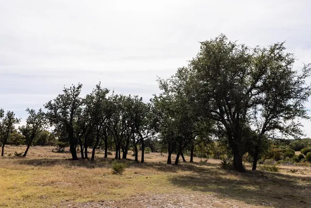 a view of outdoor space with trees