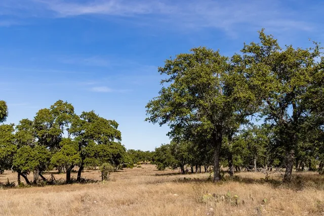 a view of outdoor space with trees