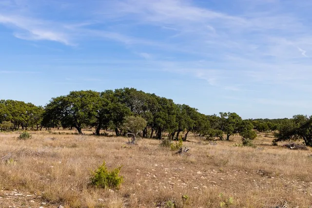a view of mountain covered with trees