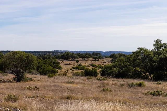 a view of a field with trees in background