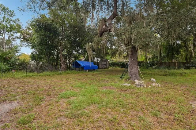 a view of a yard with a tree