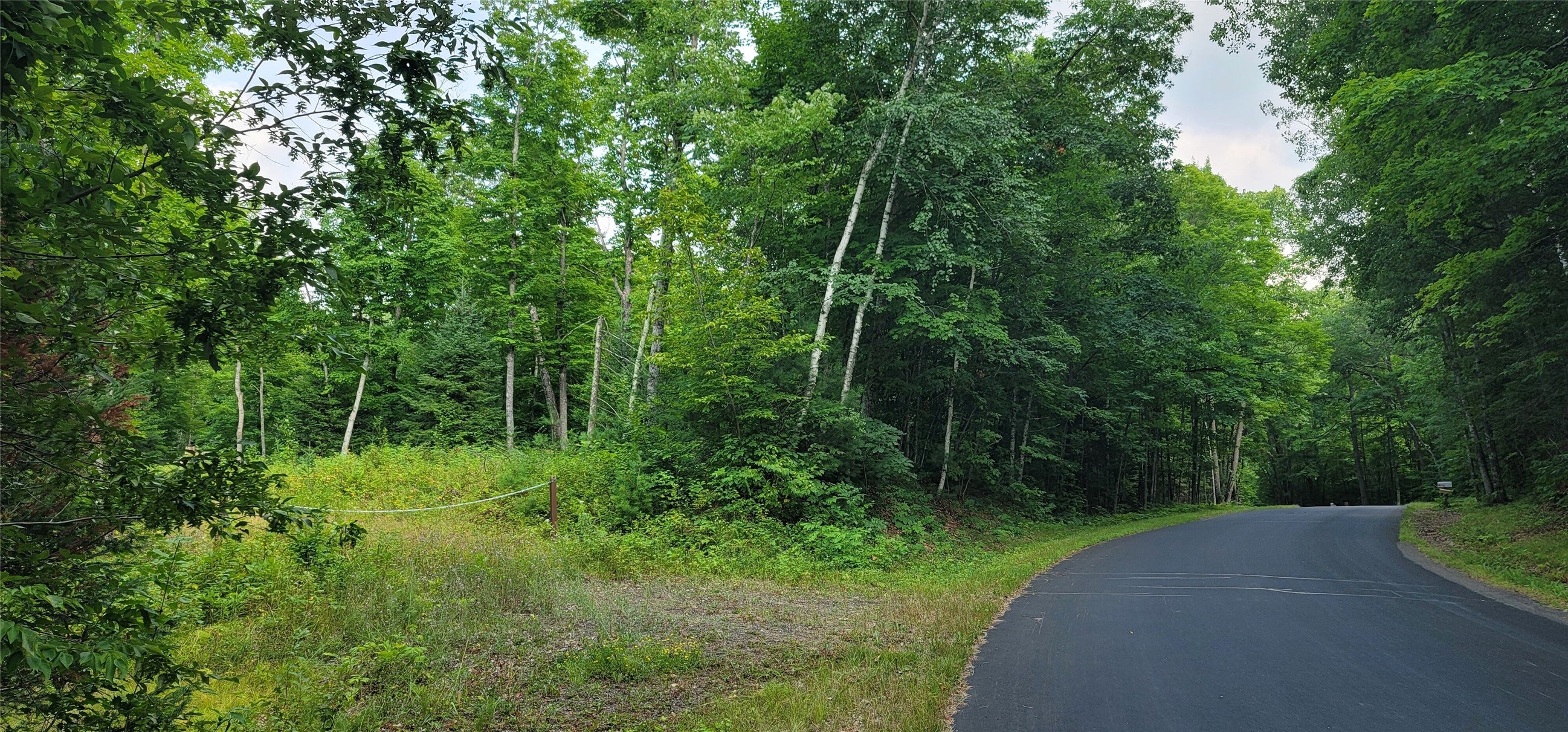 0 North Lower Twin Lake Road Hayward, WI 54843 - Photo 6 of 9 Gallery Image 6