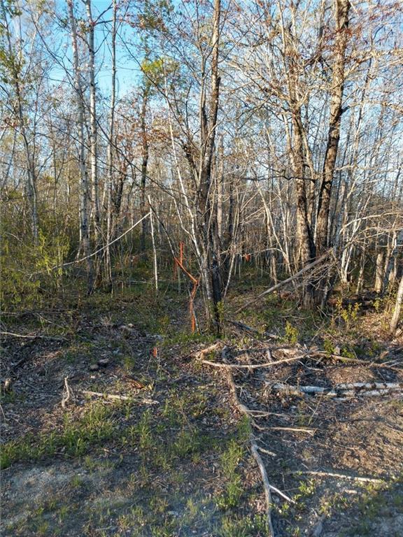 L50 Salmon Road Cherryfield, ME 04622 - Photo 5 of 11 Photo