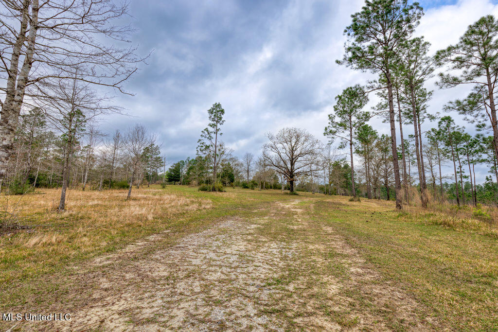 15429 Indian Fork Road Vancleave, MS 39565 - Photo 51 of 63 Trail by Old Home Site