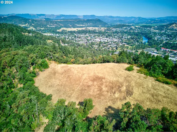$300,000 | West Fairhill Drive, Unit 300, Roseburg, OR 97471