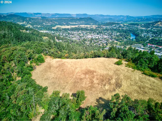 $300,000 | West Fairhill Drive, Unit 300, Roseburg, OR 97471