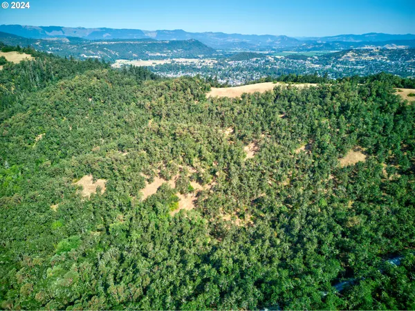 $300,000 | West Fairhill Drive, Unit 300, Roseburg, OR 97471