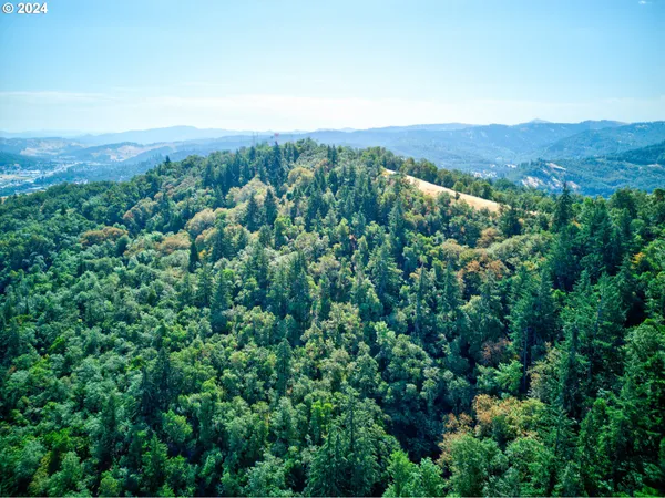 $300,000 | West Fairhill Drive, Unit 300, Roseburg, OR 97471