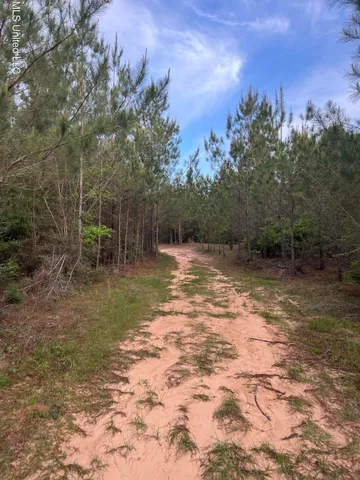 $242,400 | 230 Co Road, Shubuta, MS 39360