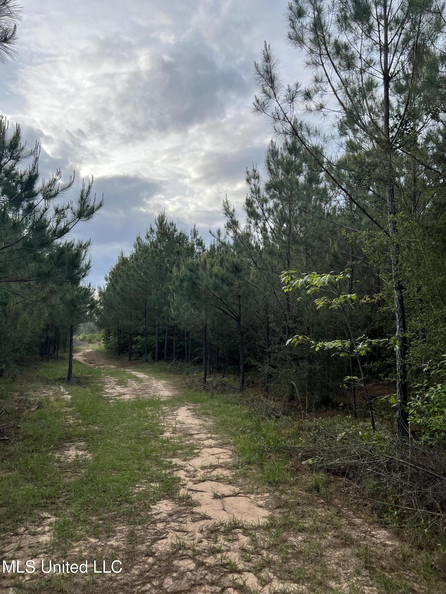 230 Co Road Shubuta, MS 39360 - Photo 5 of 6 IMG_2062