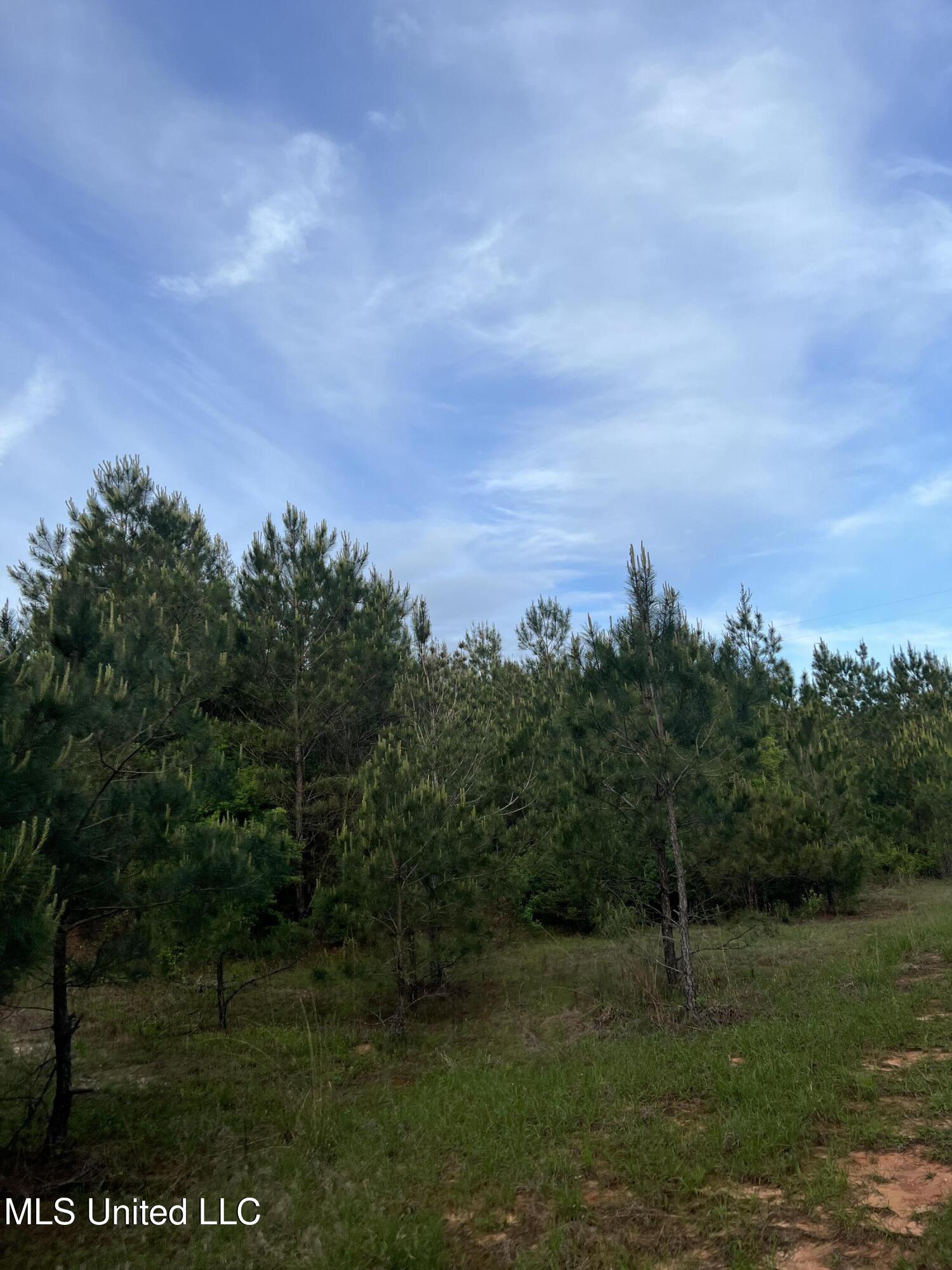 230 Co Road Shubuta, MS 39360 - Photo 6 of 6 IMG_2064