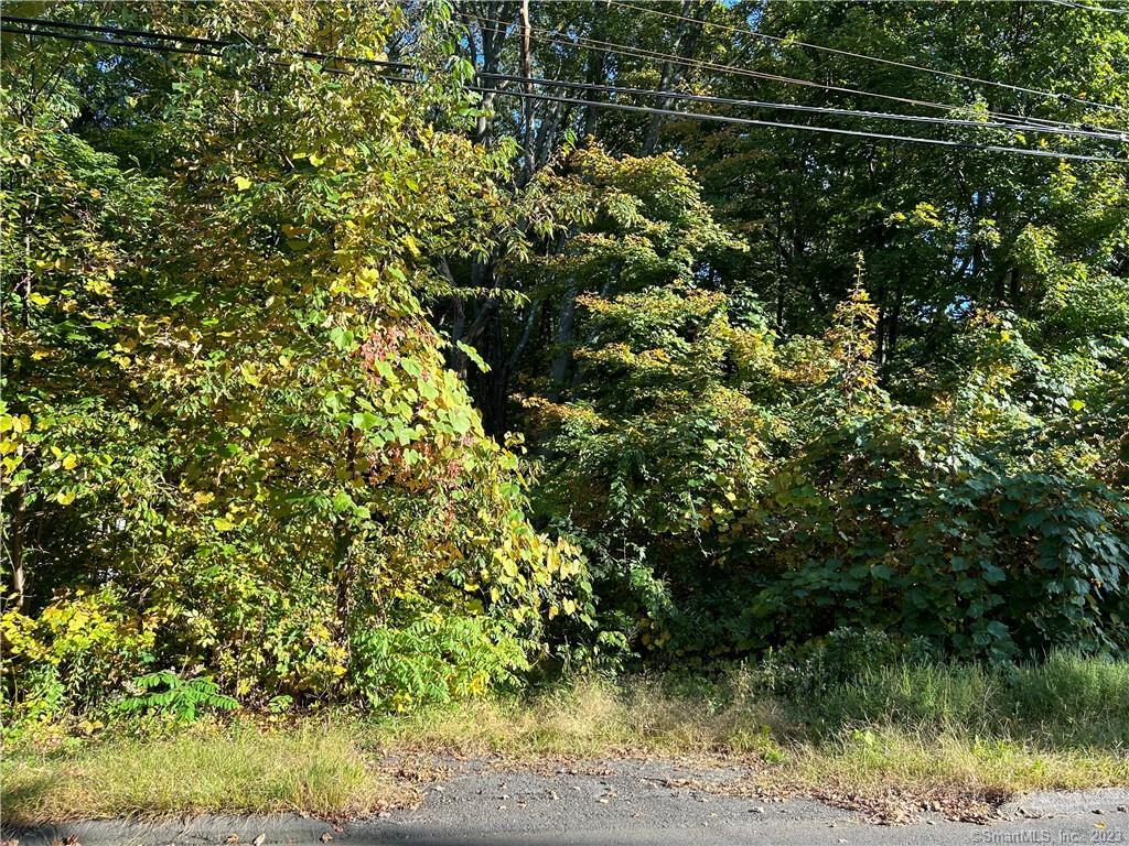 45 Old Wolcott Road Bristol, CT 06010 - Photo 1 of 1