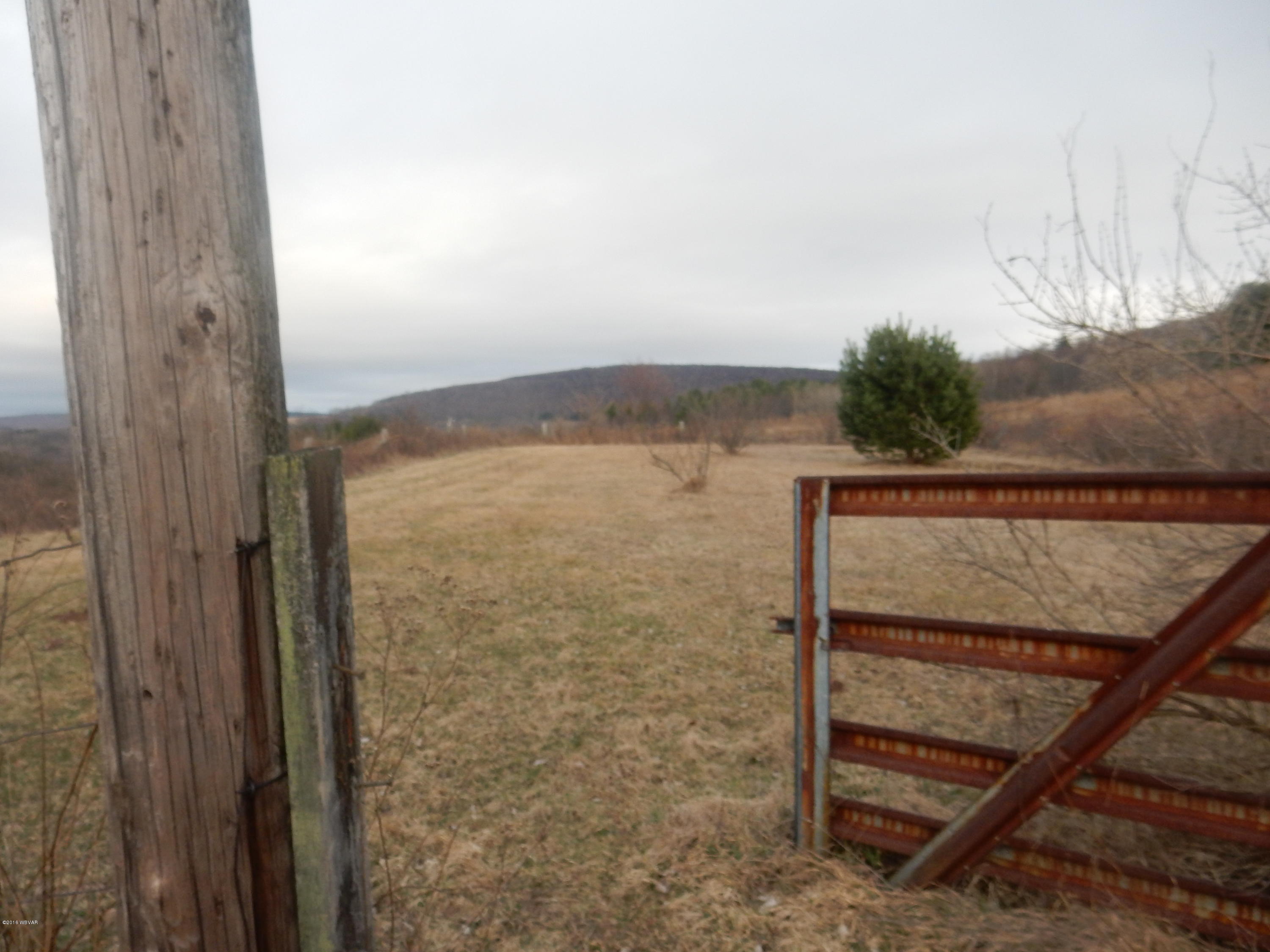 2874 Whiskey Run Road Muncy Valley, PA 17758 - Photo 50 of 62 RINIER BARN PICS 013