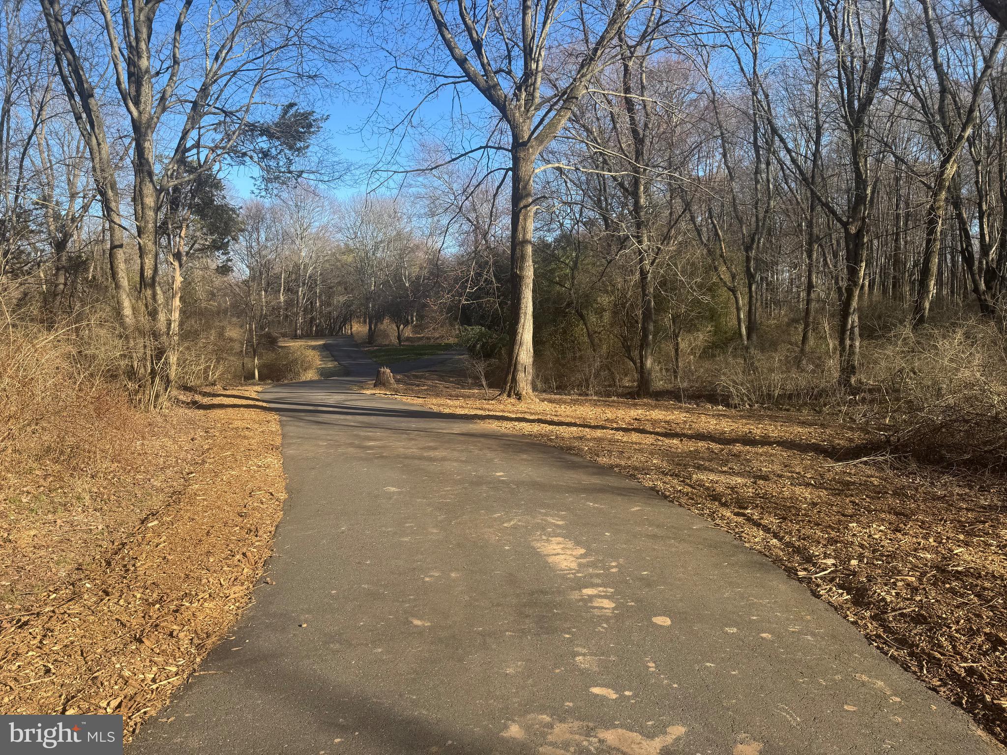 196 Aqueduct Road Washington Crossing, PA 18977 - Photo 53 of 57 a view of a yard with large trees