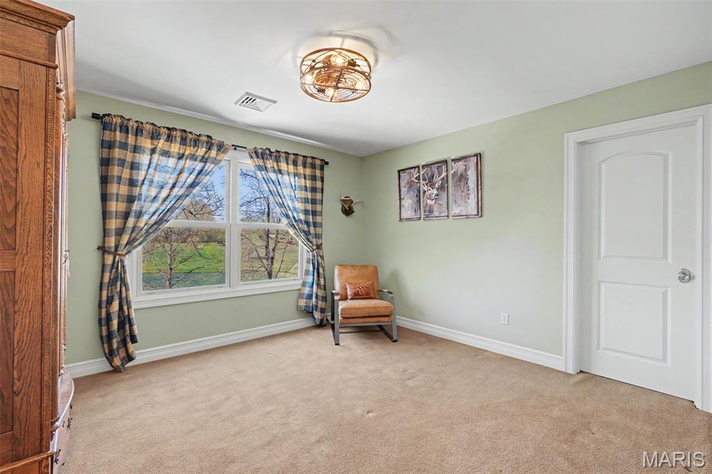 3757 Sunny Road Washington, MO 63090 - Photo 33 of 45