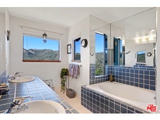 2717 Halsey Road Topanga, CA 90290 - Photo 11 of 39 a bathroom with a tub a potted plant and a shower