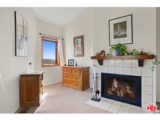 2717 Halsey Road Topanga, CA 90290 - Photo 7 of 39 a living room with furniture and a fireplace