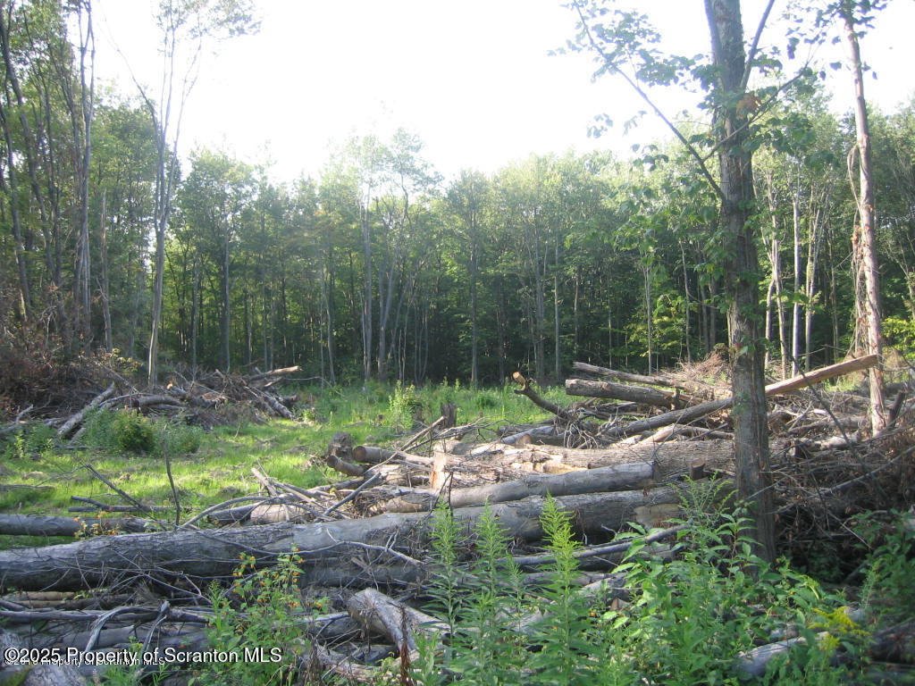 446 T Clarks Summit, PA 18411 - Photo 2 of 5 a view of a garden with a tree