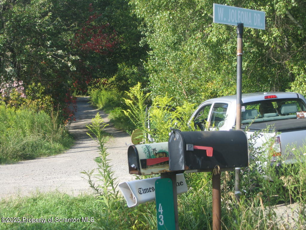 446 T Clarks Summit, PA 18411 - Photo 4 of 5 a view of a yard potted plants and large tree