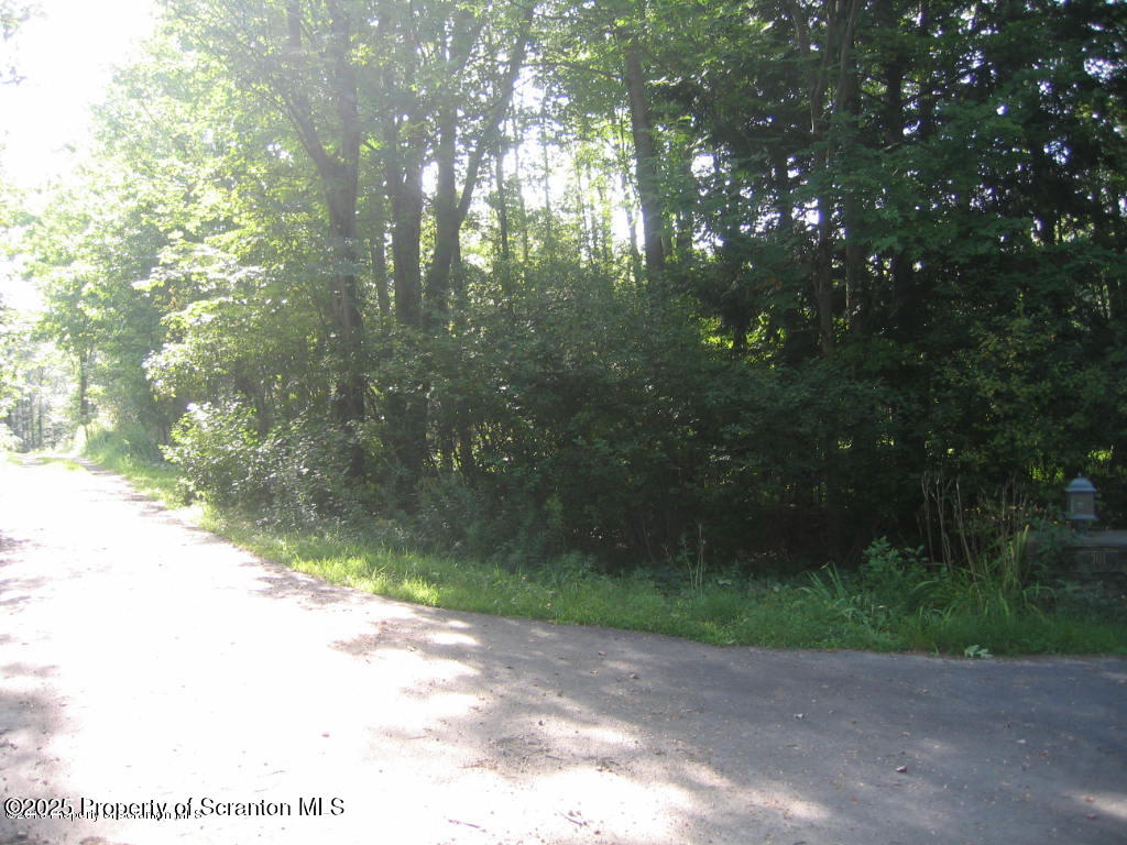446 T Clarks Summit, PA 18411 - Photo 5 of 5 a backyard of a house with lots of green space
