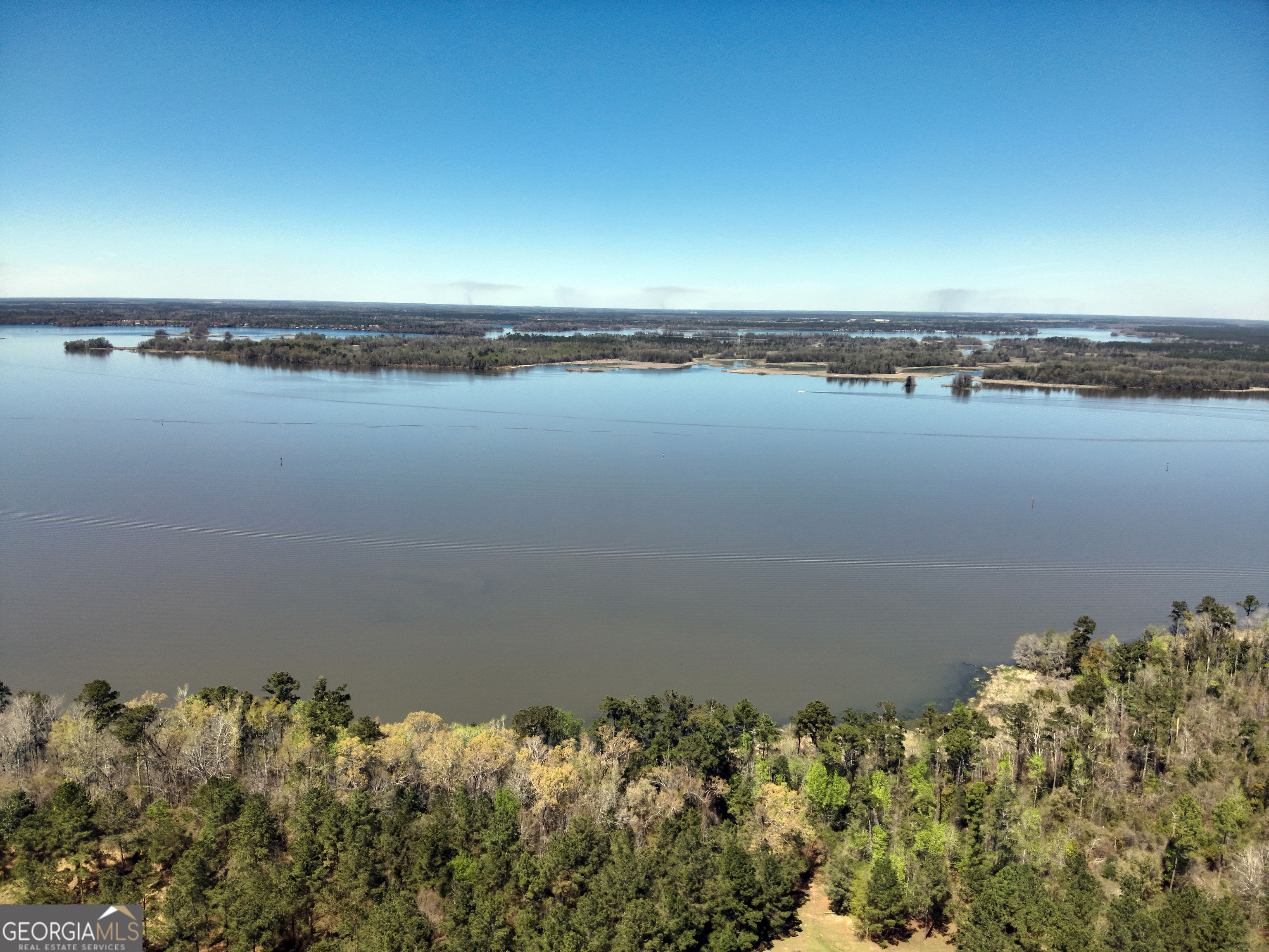 a view of a lake with a mountain