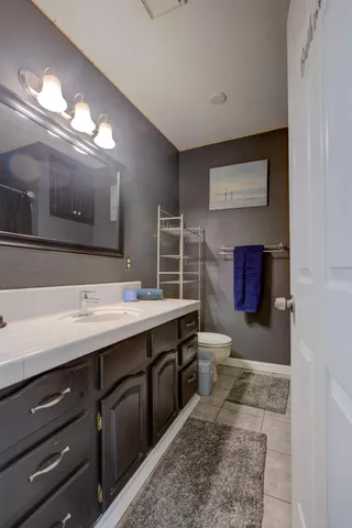 a room with a potted plant