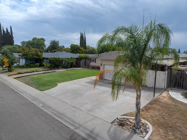 a view of a park with potted plants and palm trees