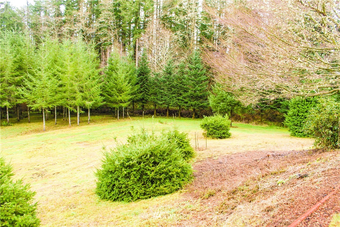 29 Richter Road Raymond, WA 98577 - Photo 25 of 25 Gallery Image 25