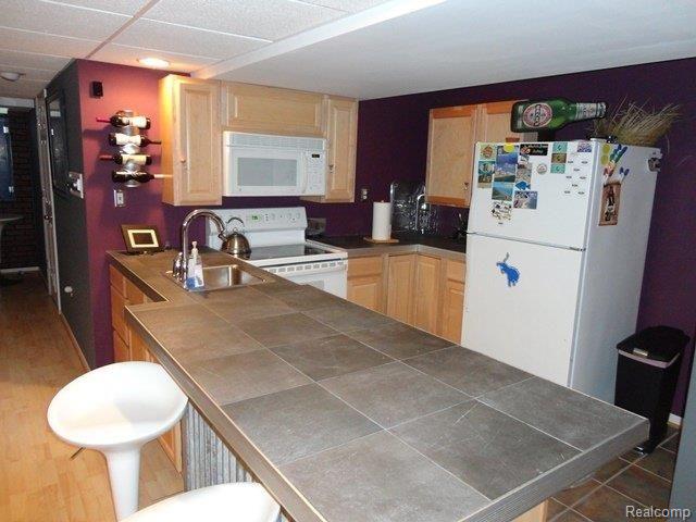49445 Monte Road New Baltimore, MI 48047 - Photo 18 of 24 Bsmnt Bar.JPG