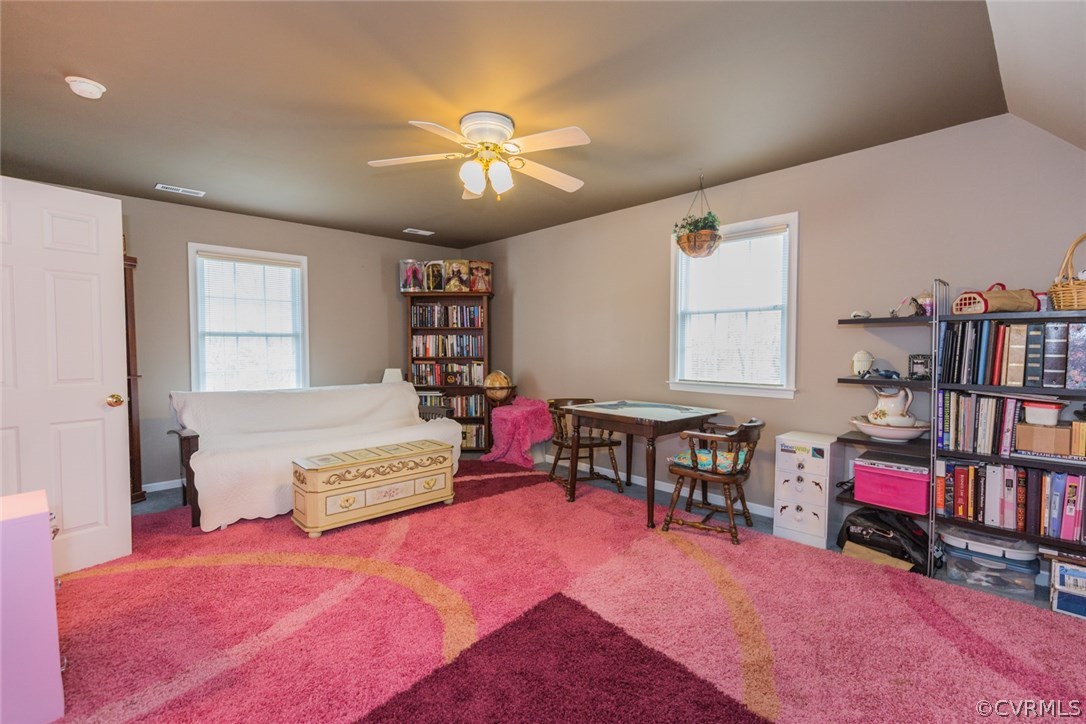30039 Signboard Road Doswell, VA 23047 - Photo 23 of 49 Gallery Image 23