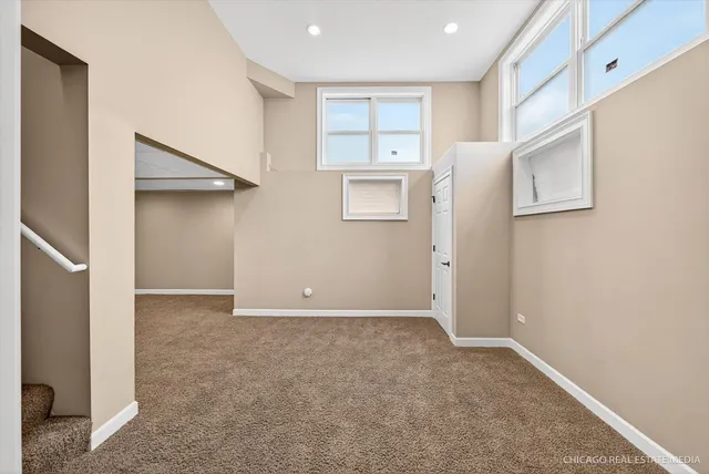 a view of a yard with plants and trees