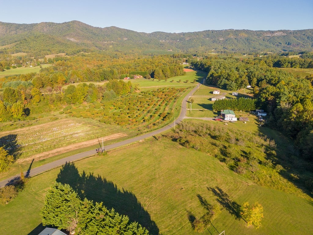 Tbd Apple Ridge Road, Unit 7 Cana, VA 24317 - Photo 2 of 27 Gallery Image 2
