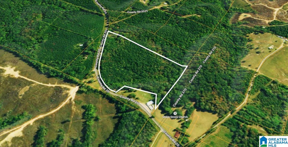 20 County Road Haleyville, AL 35565 - Photo 8 of 17
