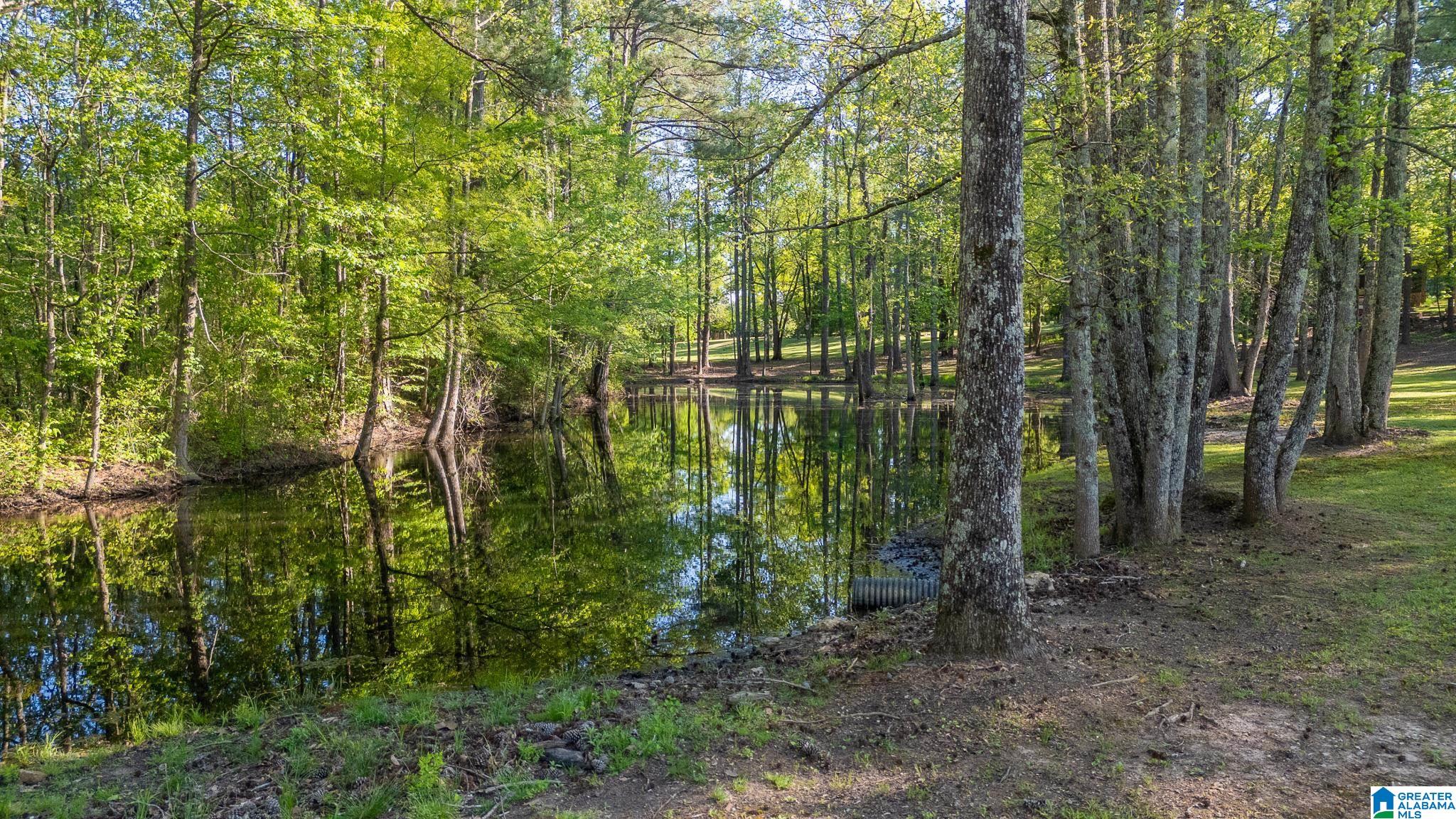 4435 Renfroe Road Talladega, AL 35160 - Photo 89 of 99 Gallery Image 89