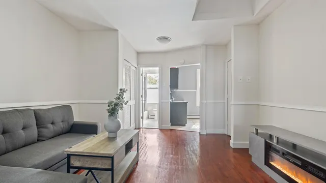 a living room with furniture potted plant and a fireplace