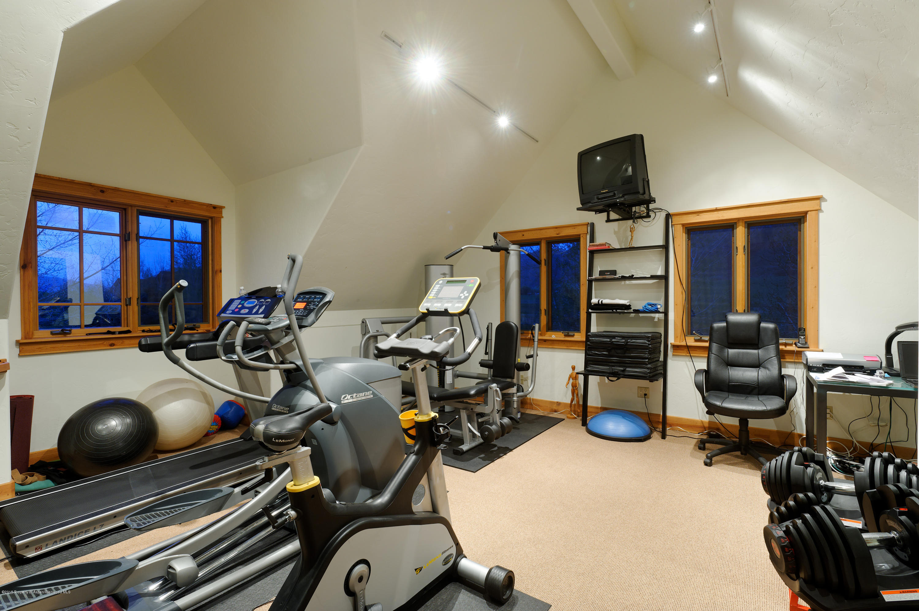 298 Red Rock Road Basalt, CO 81621 - Photo 22 of 30 a view of a room with gym equipment