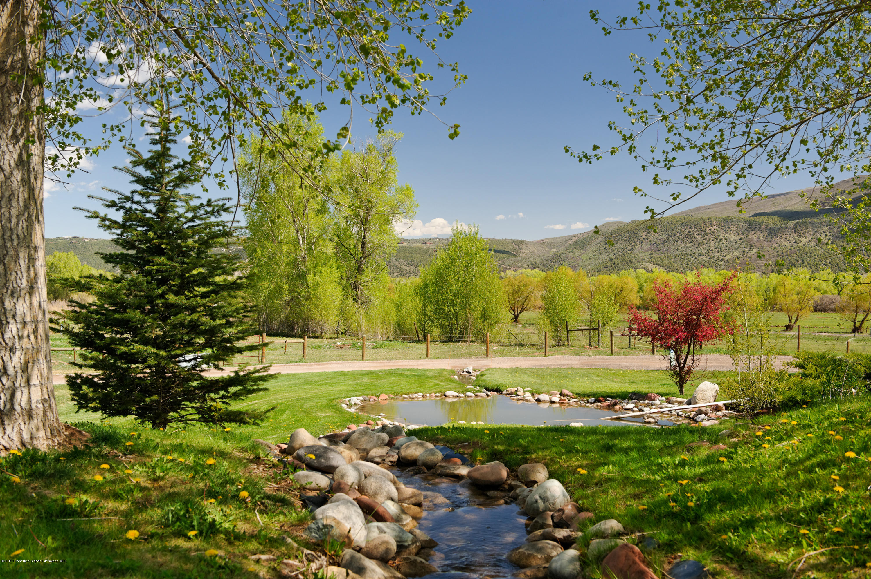 298 Red Rock Road Basalt, CO 81621 - Photo 3 of 30 a view of a yard with an outdoor space