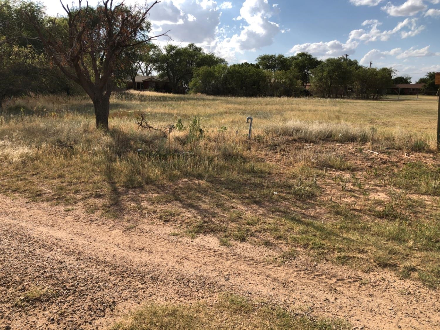 3913 Idalou Road Lubbock, TX 79403 - Photo 3 of 3 Photo 3