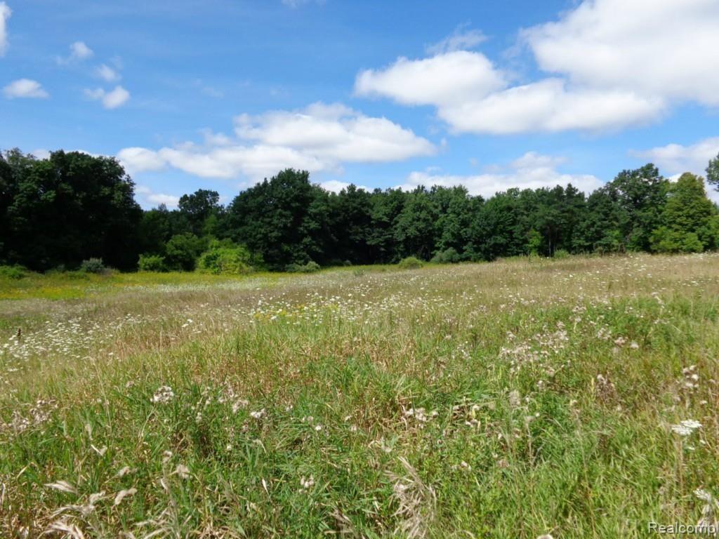 0 Noble Road Oxford, MI 48370 - Photo 14 of 19