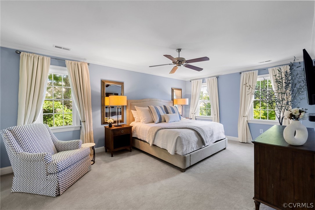 14306 Roderick Court Midlothian, VA 23113 - Photo 21 of 44 Large Spacious Primary Suite - New carpet and buil