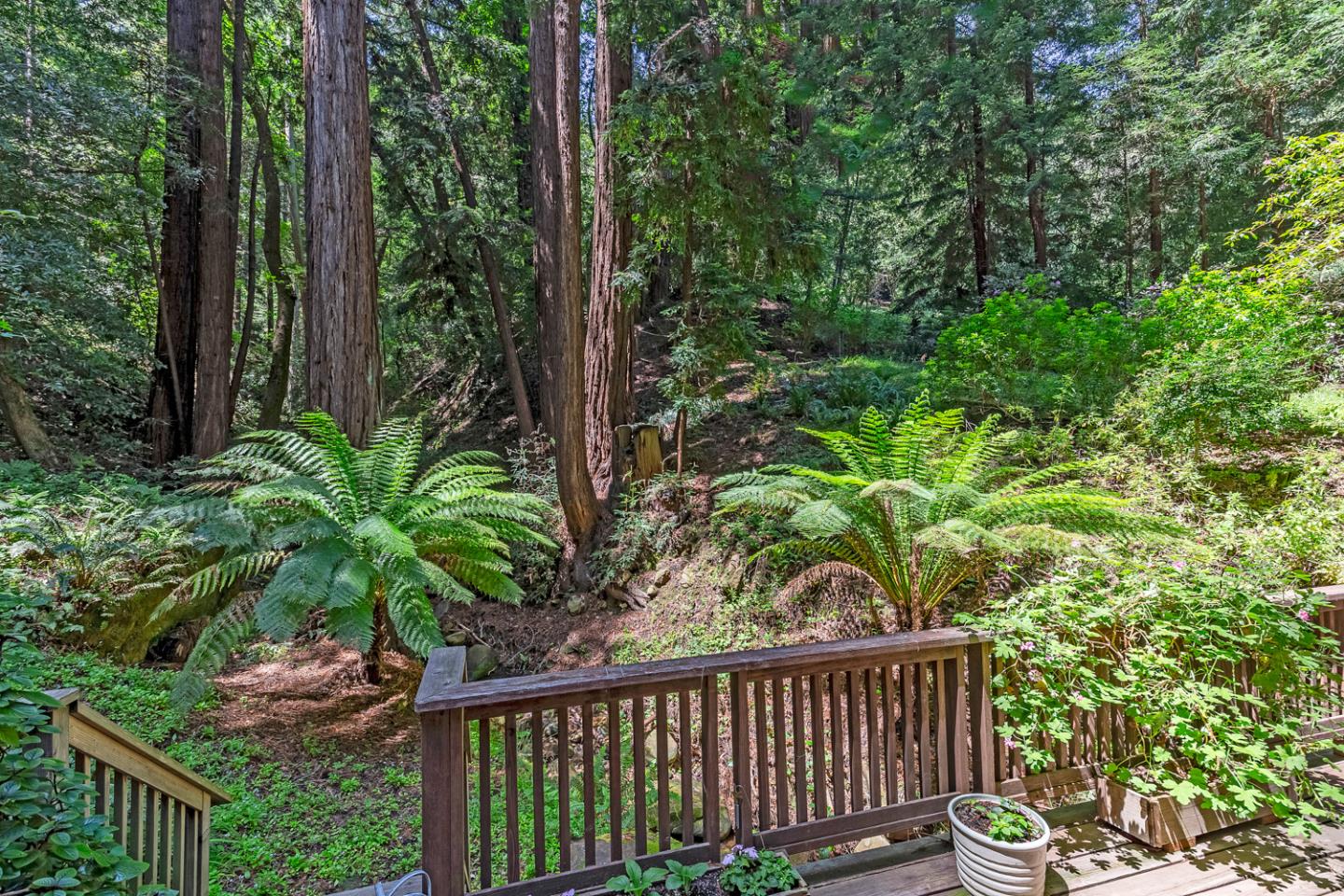573 Patrol Road Woodside, CA 94062 - Photo 15 of 18 a view of a garden from a balcony